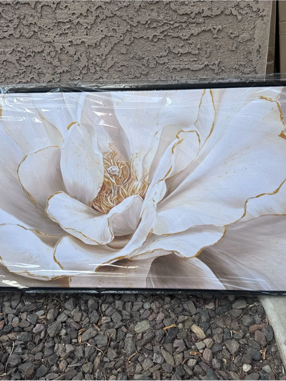 Beige Peony Wall Art Canvas - Floral Home Wall Decor